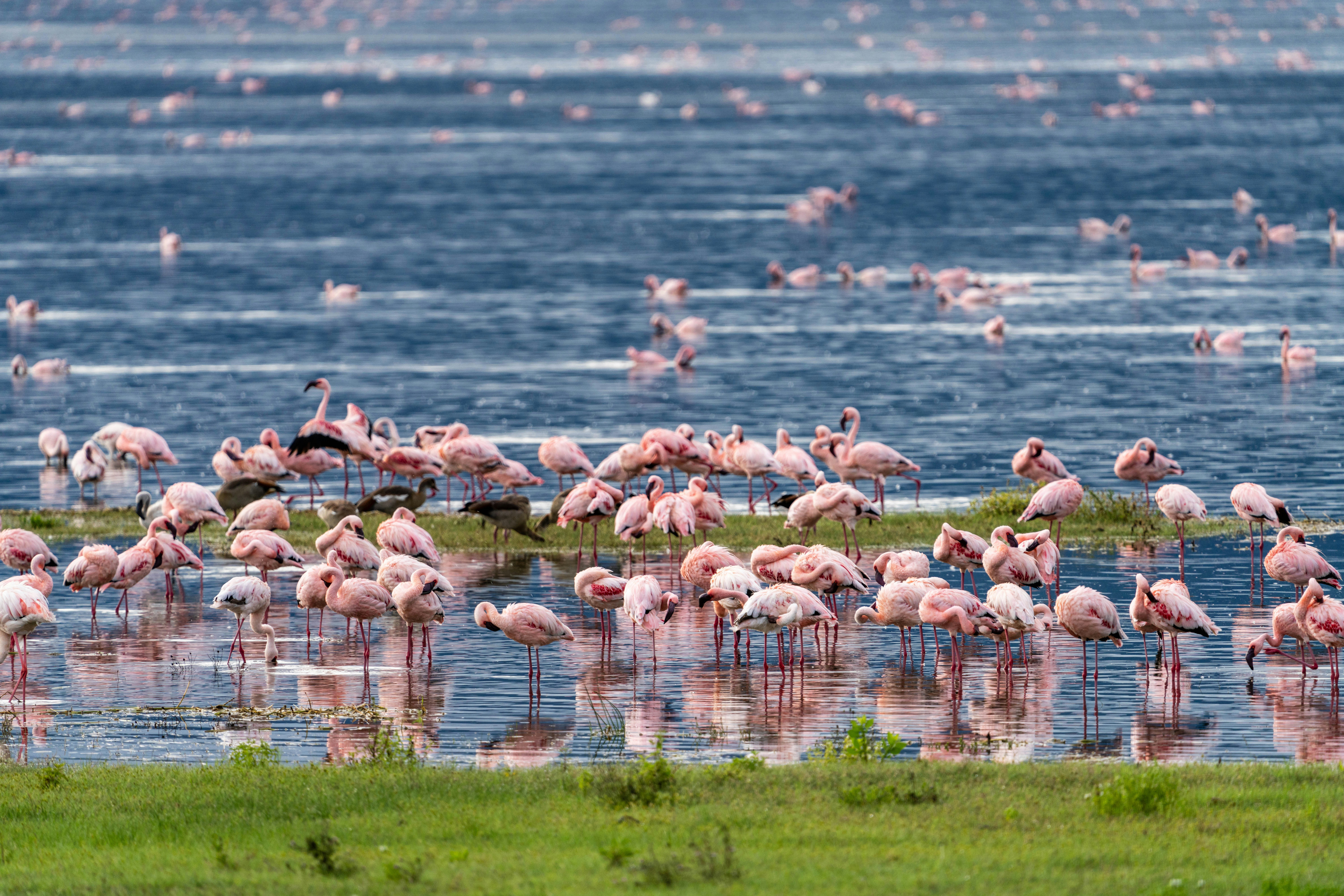 Ngorongoro National Park
