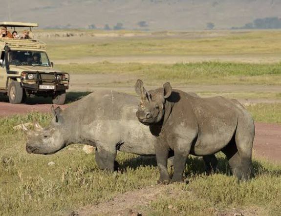 Safari Mikumi National Park
